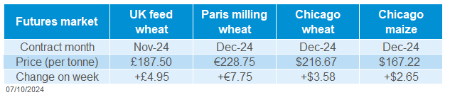 Grain futures 07 10 20247